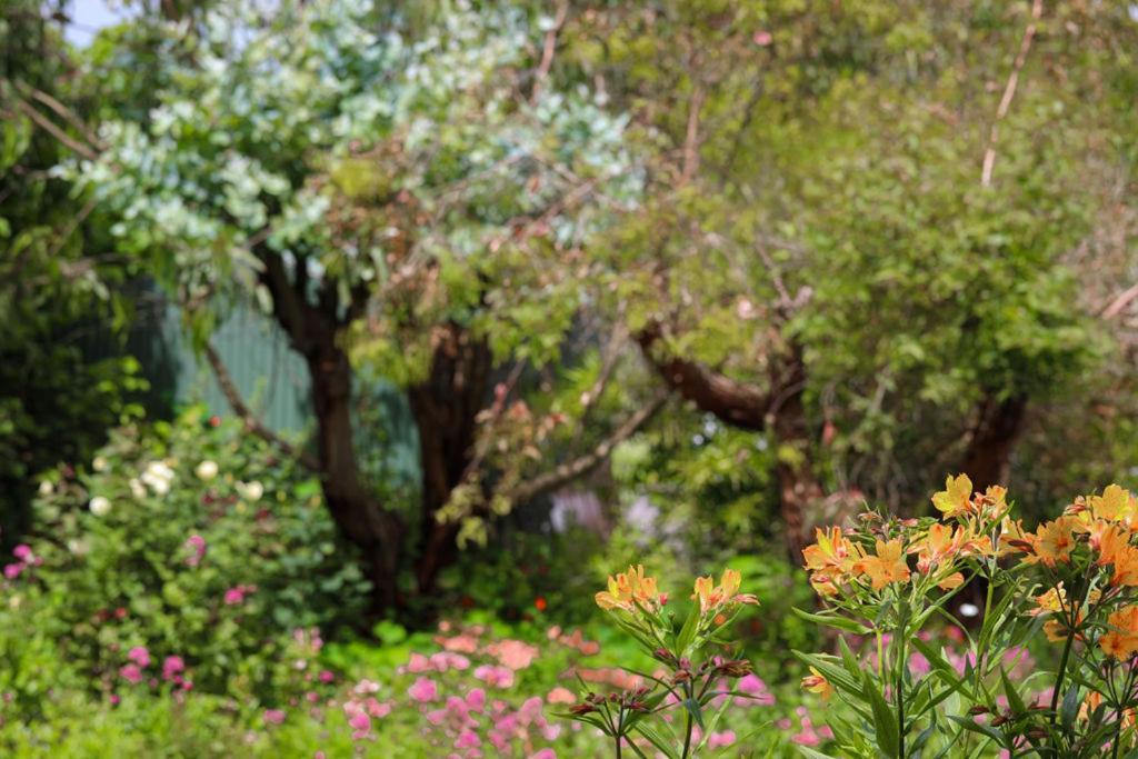 Daysy Hill Country Cottages Port Campbell Bagian luar foto