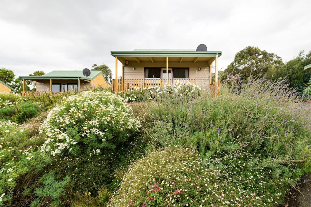 Daysy Hill Country Cottages Port Campbell Bagian luar foto