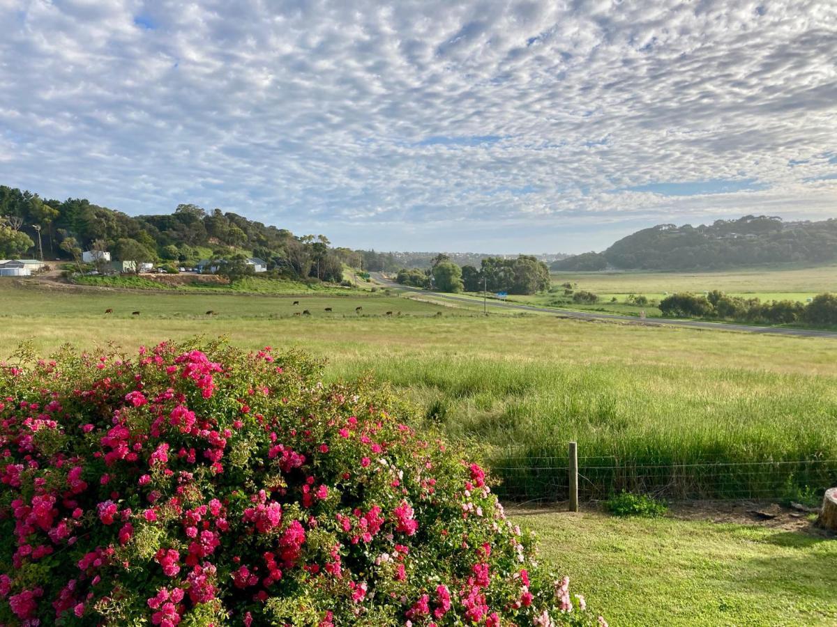 Daysy Hill Country Cottages Port Campbell Bagian luar foto